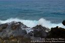 Oahu2015-106.jpg