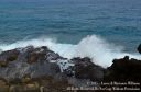 Oahu2015-107.jpg