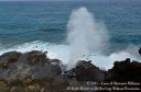 Oahu2015-110.jpg