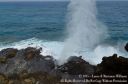 Oahu2015-111.jpg