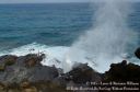Oahu2015-112.jpg