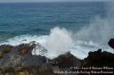 Oahu2015-114.jpg