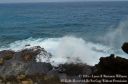 Oahu2015-115.jpg