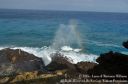 Oahu2015-116.jpg