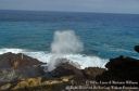 Oahu2015-117.jpg