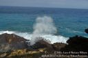 Oahu2015-118.jpg