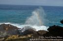 Oahu2015-120.jpg