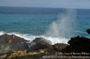 Oahu2015-122.jpg