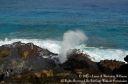 Oahu2015-123.jpg