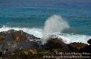 Oahu2015-124.jpg