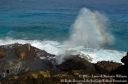 Oahu2015-126.jpg