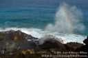 Oahu2015-127.jpg