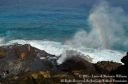 Oahu2015-128.jpg