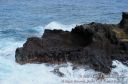 Oahu2015-133.jpg