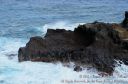 Oahu2015-134.jpg