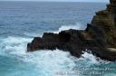 Oahu2015-143.jpg