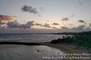 Oahu2015-154.jpg