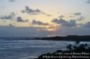 Oahu2015-155.jpg