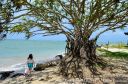 Oahu2015-223.jpg