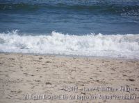 Oheka2012-111.jpg