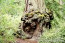 SanFranciscoOut-084.jpg