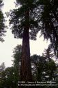 SanFranciscoOut-085.jpg