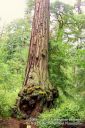 SanFranciscoOut-086.jpg