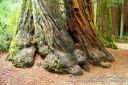 SanFranciscoOut-088.jpg