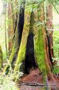SanFranciscoOut-090.jpg