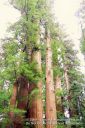 SanFranciscoOut-115.jpg