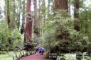 SanFranciscoOut-118.jpg