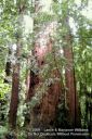 SanFranciscoOut-119.jpg