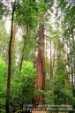 SanFranciscoOut-122.jpg