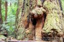 SanFranciscoOut-123.jpg