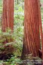 SanFranciscoOut-127.jpg