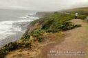 Filename=SanFranciscoOut-147.jpg
Filesize=170KiB
Dimensions=800x534
Date added=Jun 01, 2012 SanFranciscoOut-147.jpg