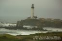 SanFranciscoOut-154.jpg