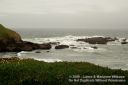 Filename=SanFranciscoOut-158.jpg
Filesize=158KiB
Dimensions=800x533
Date added=Jun 01, 2012 SanFranciscoOut-158.jpg