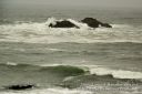 SanFranciscoOut-159.jpg