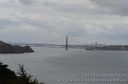 SFBOut-189.jpg