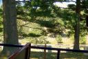 DCTrip2008-170.jpg