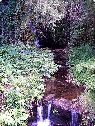 akaka3