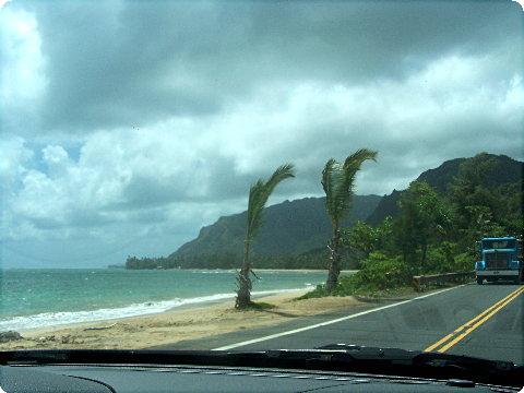 eastshore1