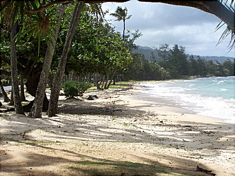 eastshore2