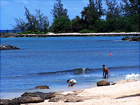 haleiwa2