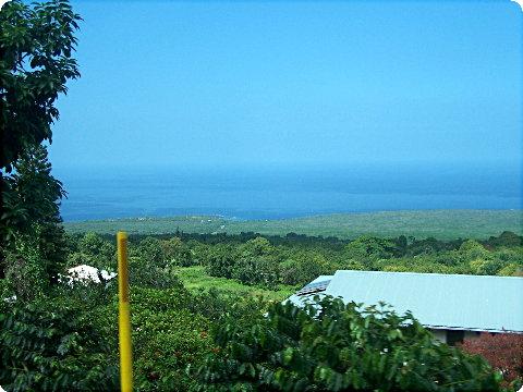 keikawahapoint1