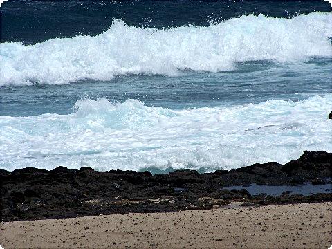 kokohead1