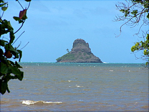 kualoapark1
