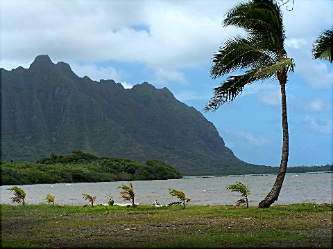 kualoapark2