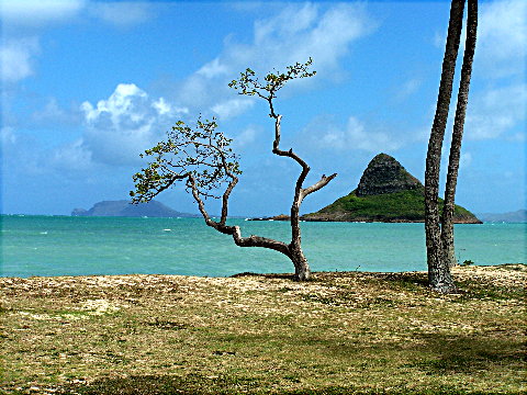 kualoapark3